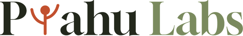 Pyahu Labs